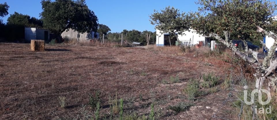 Ferme T3 à Alagoa de 195 m²