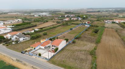 Lodge T3 in Atouguia da Baleia of 238 m²