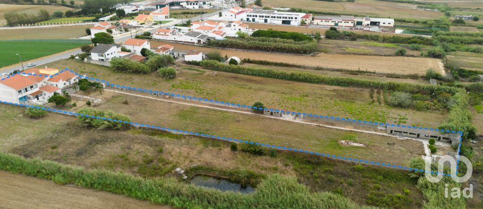 Casa T3 em Atouguia da Baleia de 238 m²