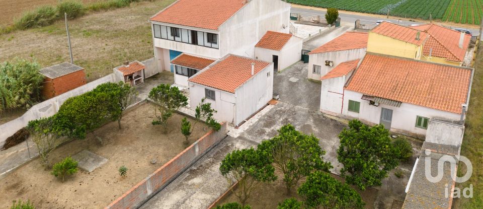 Gîte T3 à Atouguia da Baleia de 238 m²