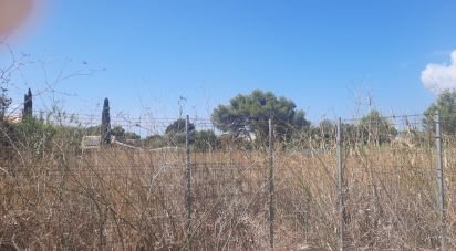 Land in Cascais e Estoril of 1,905 m²