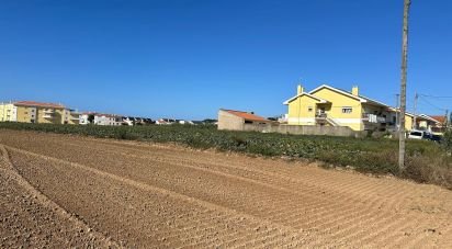 Land in Atouguia da Baleia of 1,780 m²