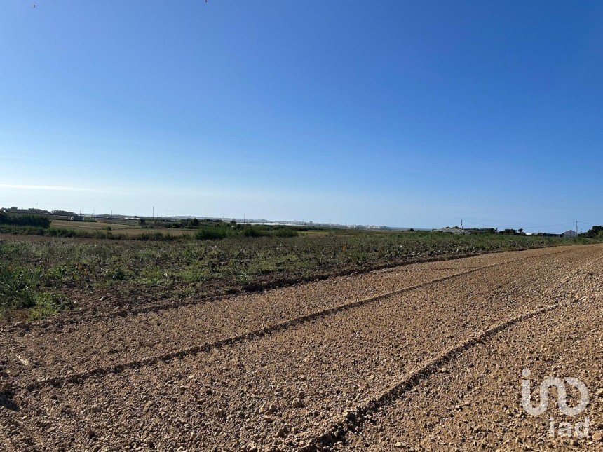 Terreno em Atouguia da Baleia de 1 780 m²