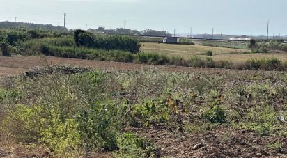 Land in Atouguia da Baleia of 1,780 m²