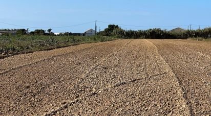 Land in Atouguia da Baleia of 1,780 m²