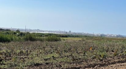 Land in Atouguia da Baleia of 1,780 m²