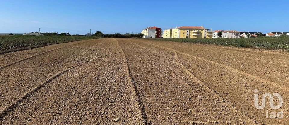 Land in Atouguia da Baleia of 1,780 m²