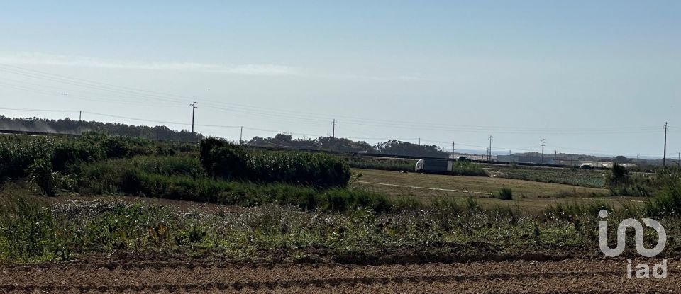 Terreno em Atouguia da Baleia de 1 780 m²