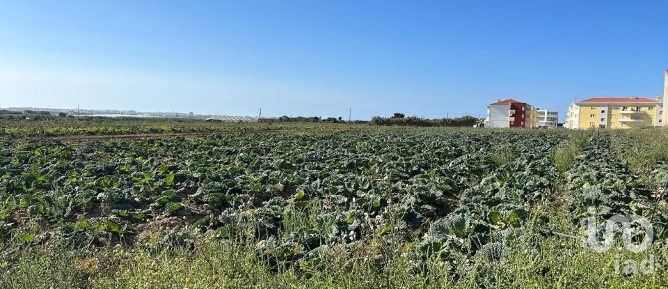 Terreno em Atouguia da Baleia de 1 780 m²