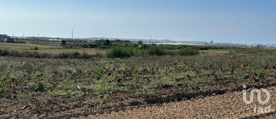 Land in Atouguia da Baleia of 1,780 m²