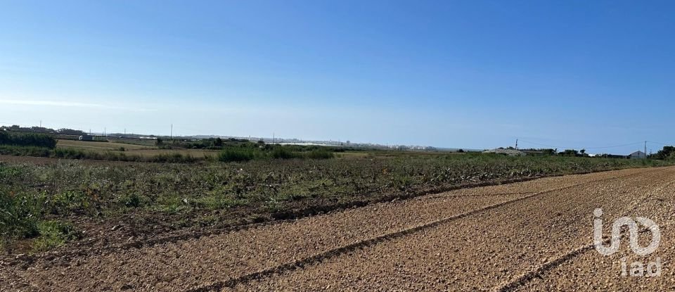 Land in Atouguia da Baleia of 1,780 m²