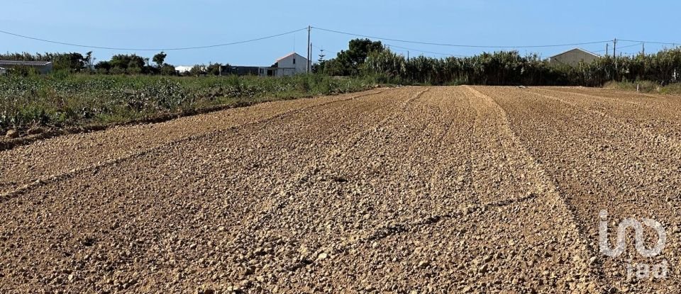 Terrain à Atouguia da Baleia de 1 780 m²