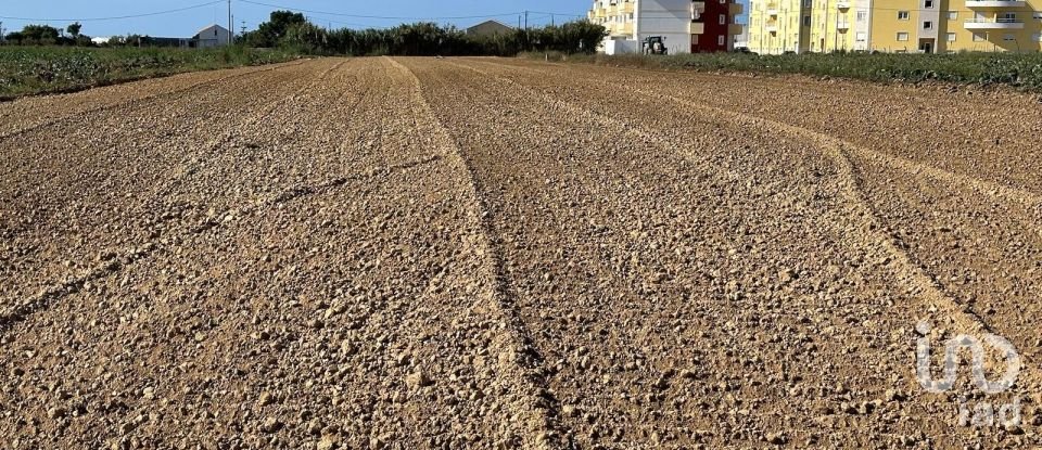 Terreno em Atouguia da Baleia de 1 780 m²