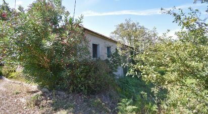 Traditional house T4 in São Miguel, Santa Eufémia e Rabaçal of 284 m²