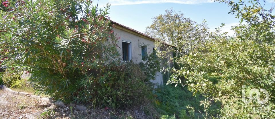 Traditional house T4 in São Miguel, Santa Eufémia e Rabaçal of 284 m²