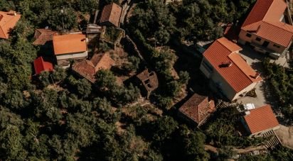 Casa de aldeia T0 em Oliveira do Douro de 500 m²