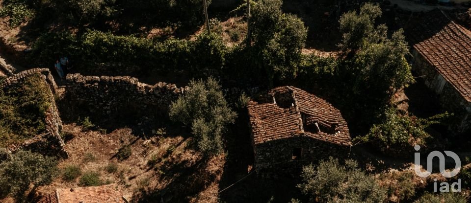 Casa de aldeia T0 em Oliveira do Douro de 500 m²