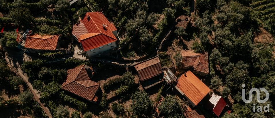 Casa de aldeia T0 em Oliveira do Douro de 500 m²