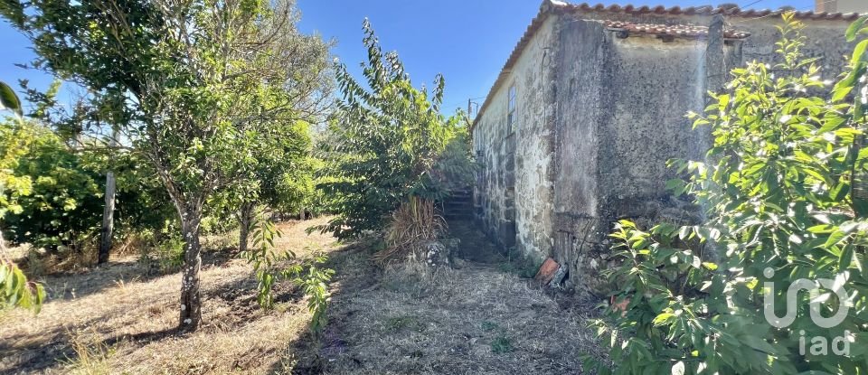 Casa de aldeia T0 em Oliveira do Douro de 500 m²