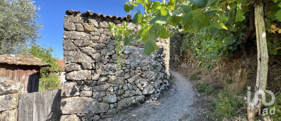 Casa de aldeia T0 em Oliveira do Douro de 500 m²