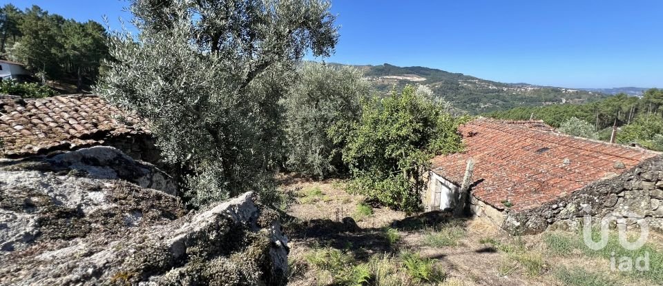 Casa de aldeia T0 em Oliveira do Douro de 500 m²