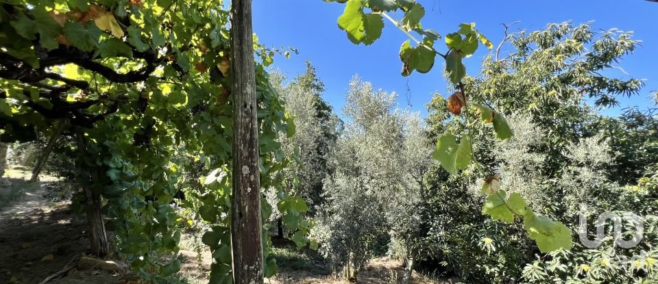 Casa de aldeia T0 em Oliveira do Douro de 500 m²