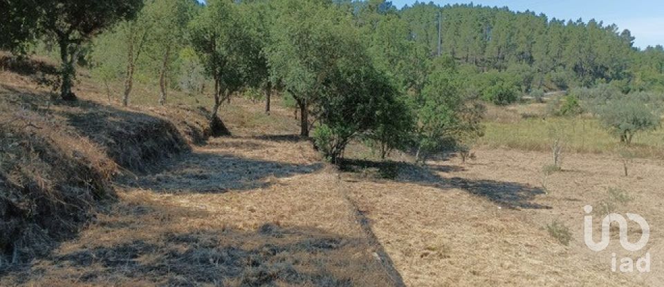 Quinta T3 em Cumeada e Marmeleiro de 140 m²