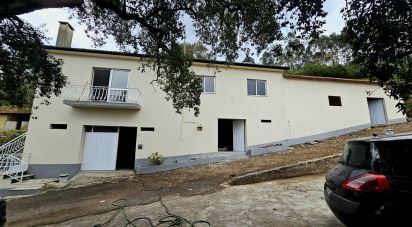 Lodge T4 in Reguengo do Fetal of 5,632 m²