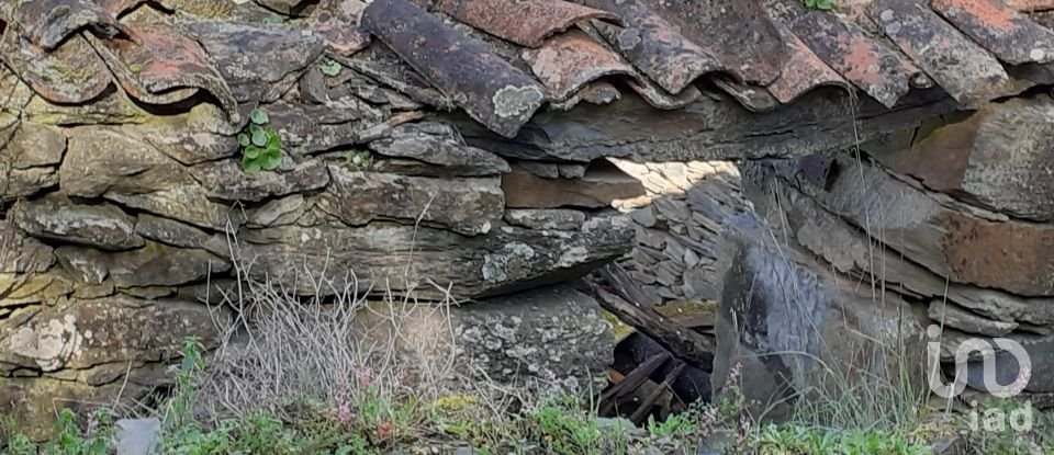 Ferme T4 à Felgar e Souto da Velha de 120 m²