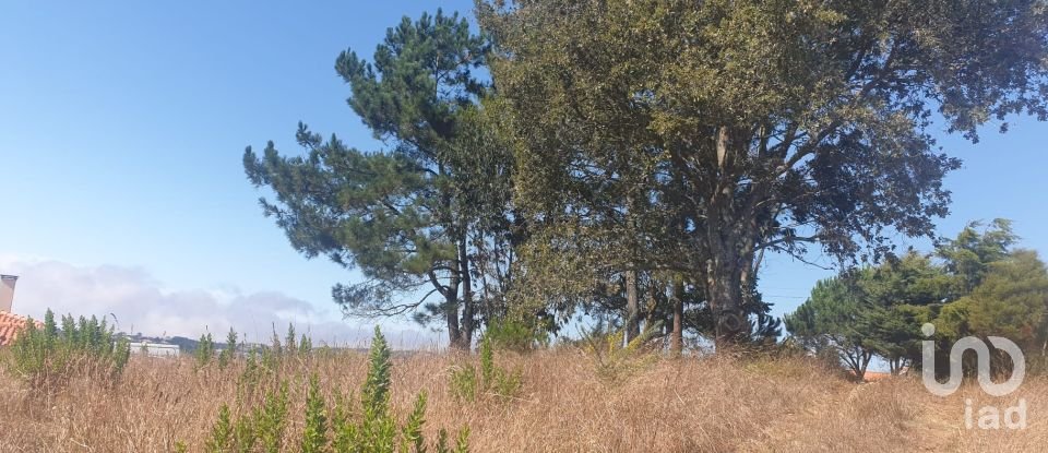 Land in Santa Catarina of 2,800 m²