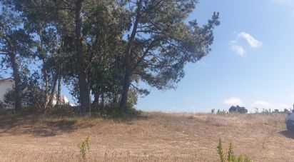 Land in Santa Catarina of 2,800 m²