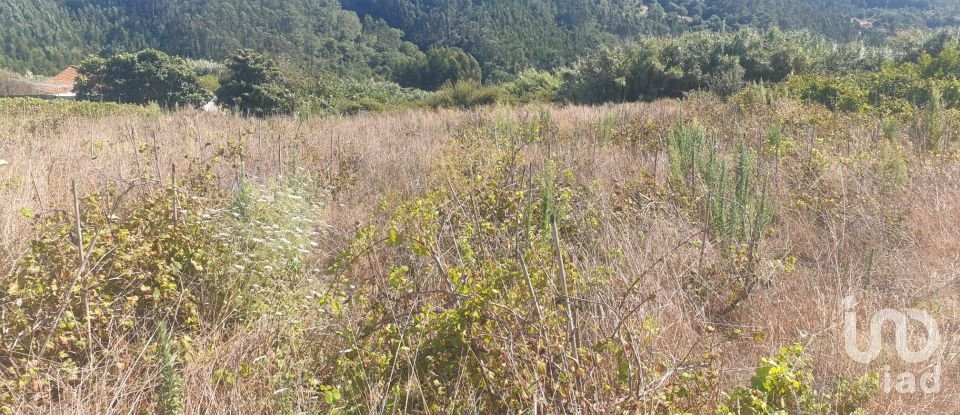 Land in Santa Catarina of 2,800 m²