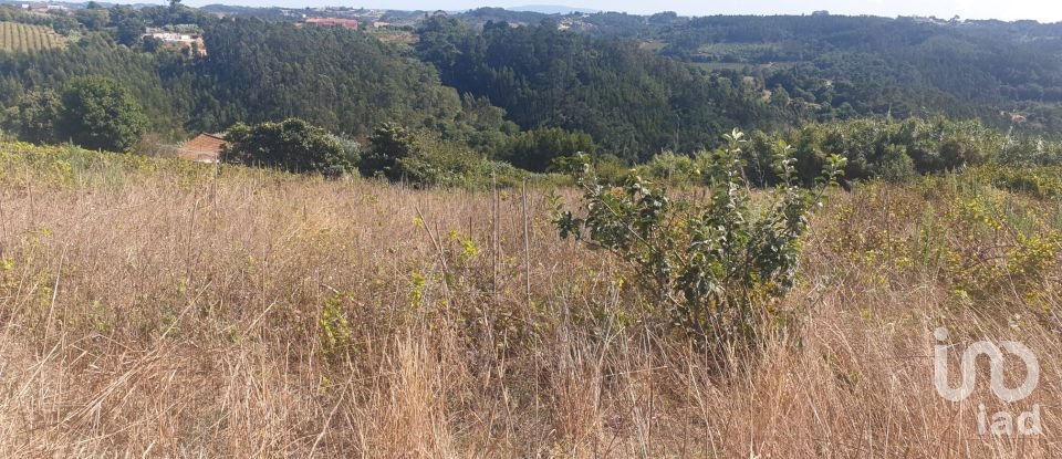 Land in Santa Catarina of 2,800 m²