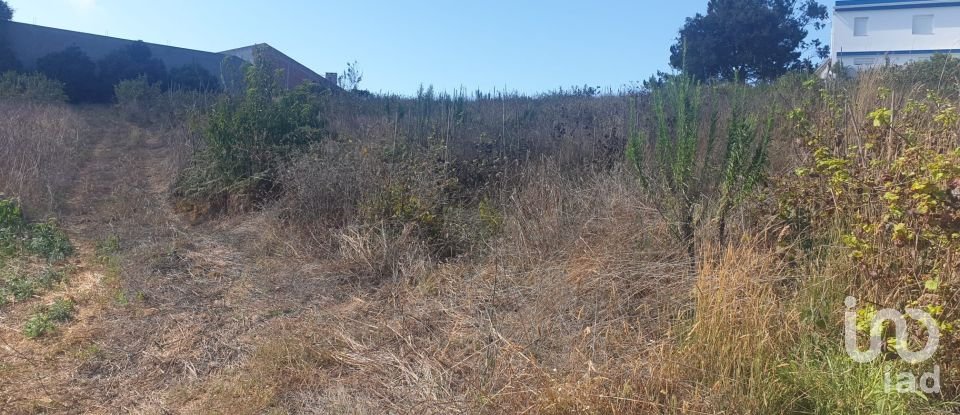 Land in Santa Catarina of 2,800 m²