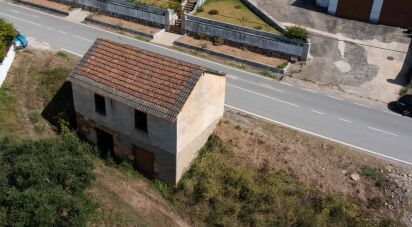 Terreno em Vila Nova do Ceira de 10 250 m²