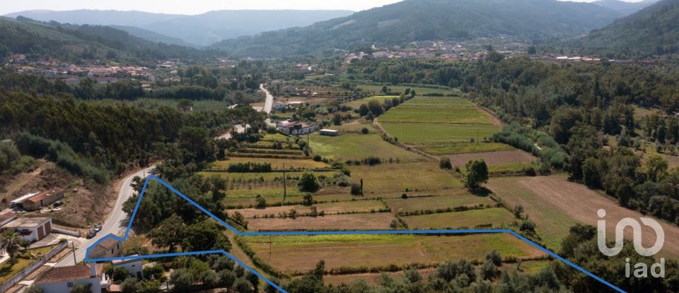 Terreno em Vila Nova do Ceira de 10 250 m²