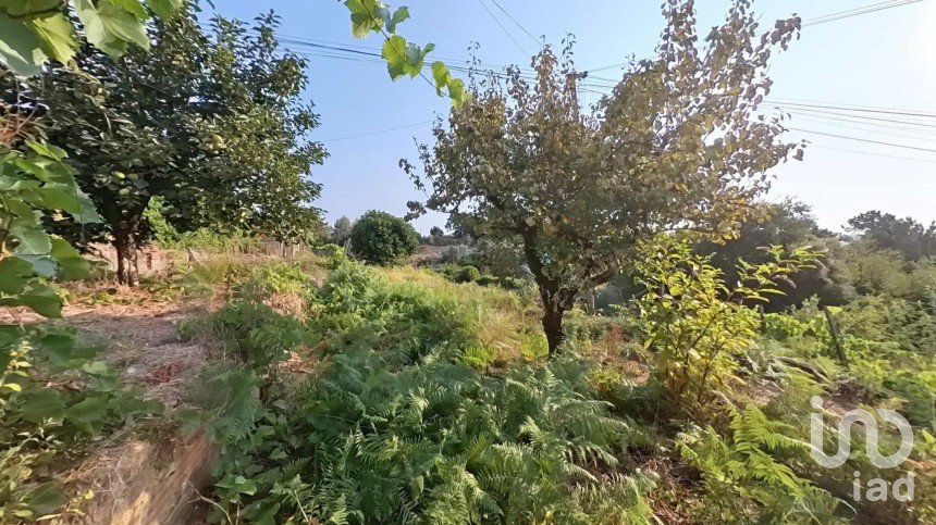 Land in Pedrógão Grande of 1,114 m²