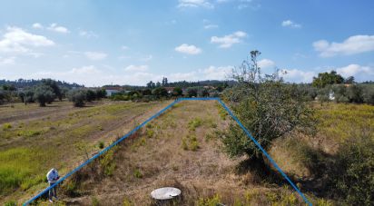 Land in Sebal e Belide of 2,380 m²