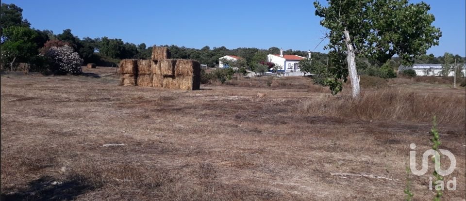 Farm T3 in Alagoa of 195 m²