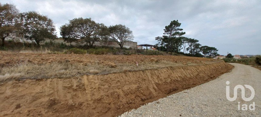 Terreno em Mafra de 3 678 m²