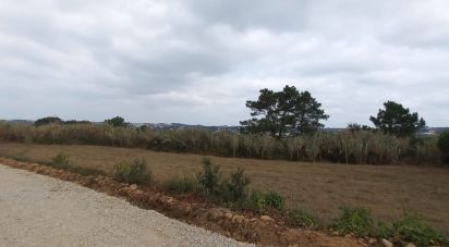 Land in Mafra of 3,678 m²