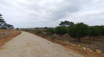 Terrain à Mafra de 3 678 m²