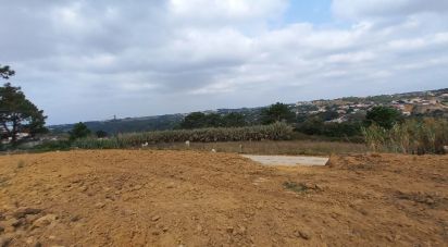 Land in Mafra of 3,678 m²