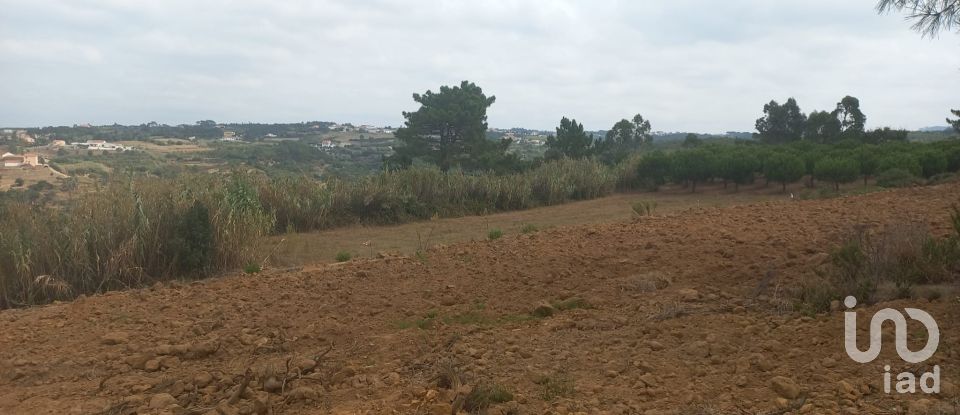 Terreno em Mafra de 3 678 m²