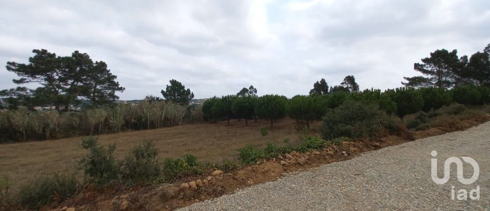 Terreno em Mafra de 3 678 m²