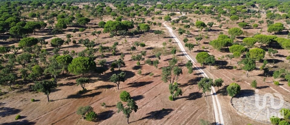 Terrain à Montargil de 770 000 m²