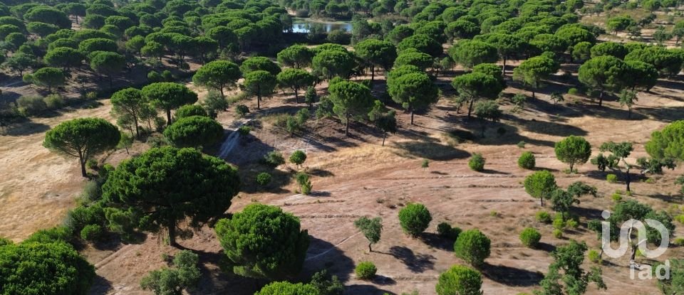 Terrain à Montargil de 770 000 m²