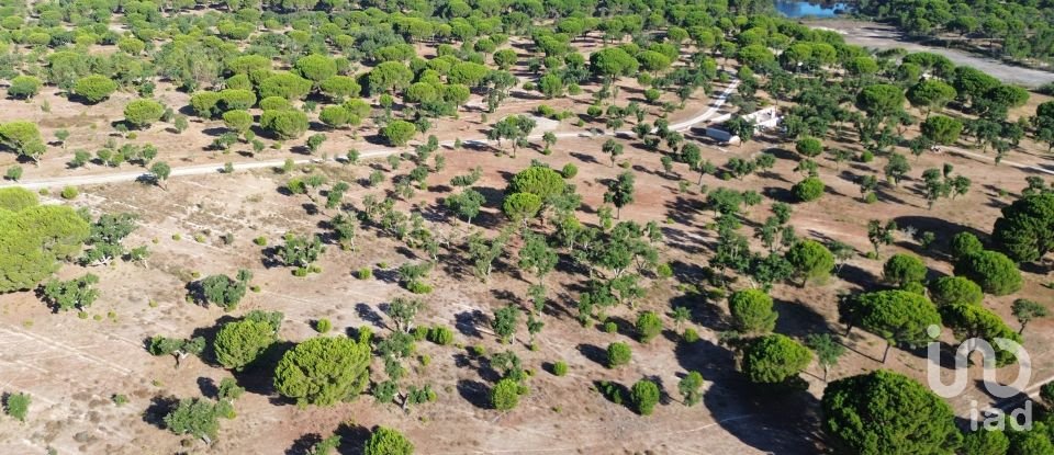 Land in Montargil of 770,000 m²