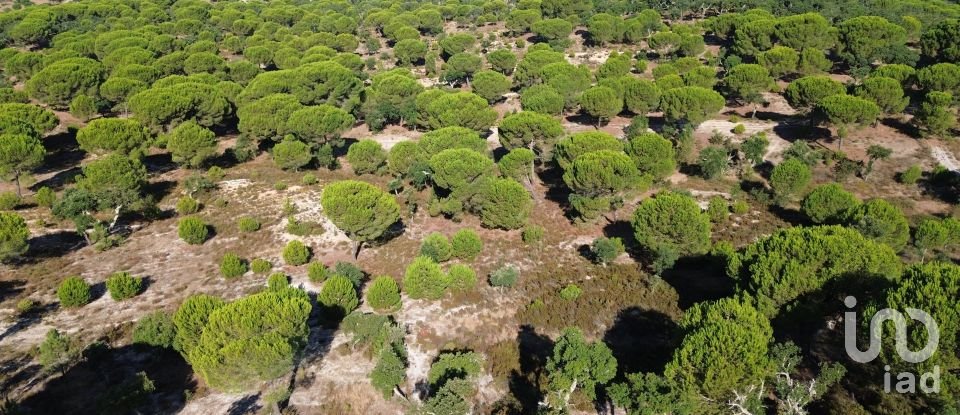 Land in Montargil of 770,000 m²