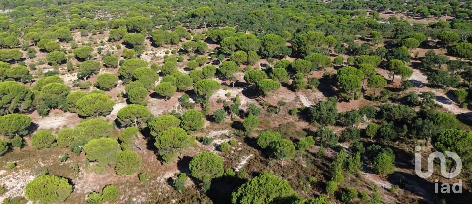 Land in Montargil of 770,000 m²